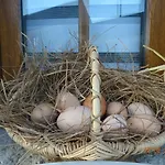La Ferme Aux Chats לינה וארוחת בוקר