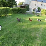 住宿加早餐酒店 La Ferme Aux Chats Formigny