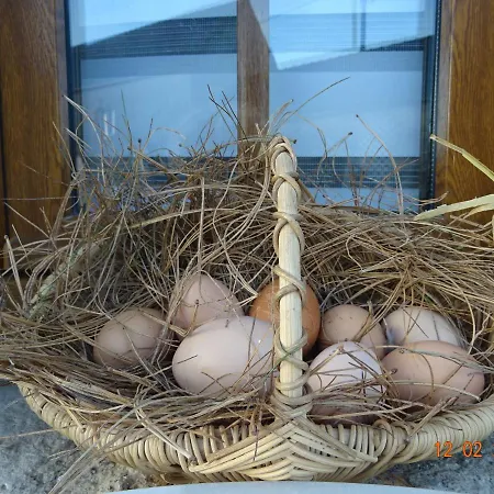 La Ferme Aux Chats Bed & Breakfast