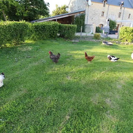 לינה וארוחת בוקר La Ferme Aux Chats Formigny