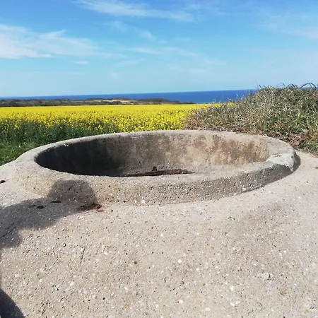 Bed & Breakfast La Ferme Aux Chats