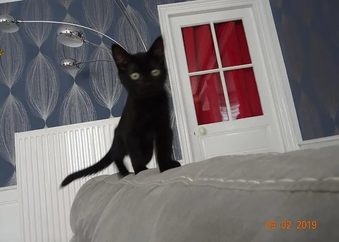 住宿加早餐酒店 La Ferme Aux Chats Formigny