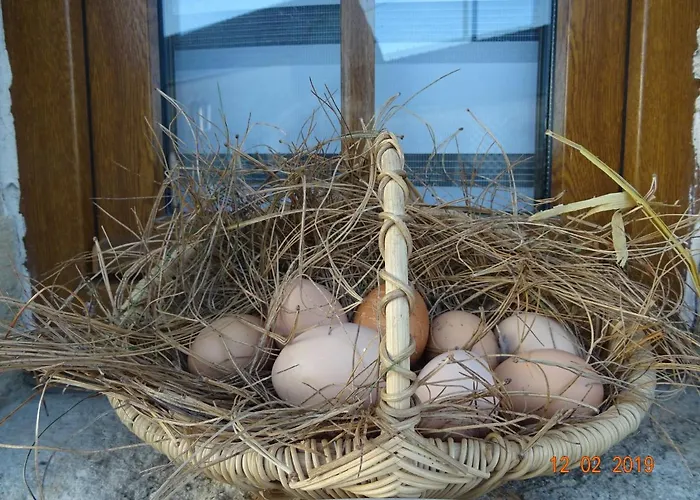 La Ferme Aux Chats 住宿加早餐酒店