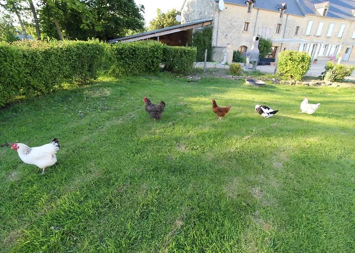 住宿加早餐酒店 La Ferme Aux Chats Formigny