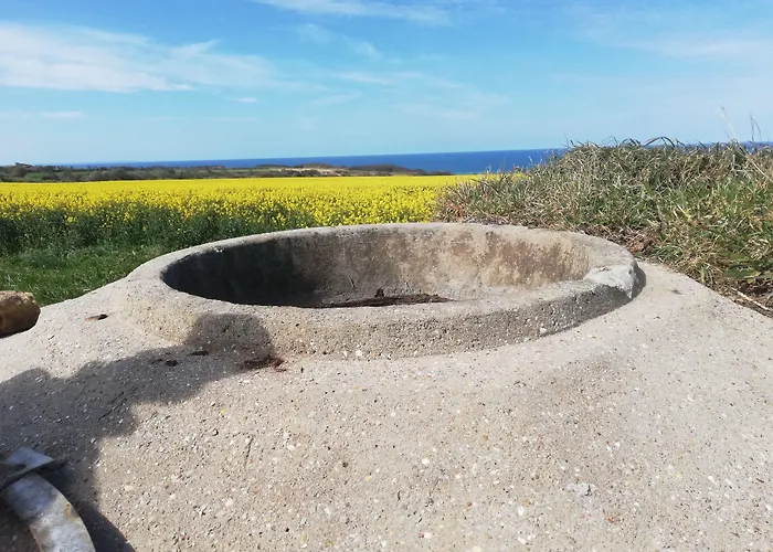 住宿加早餐酒店 La Ferme Aux Chats