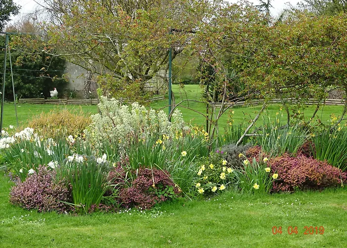 Oda ve Kahvaltı La Ferme Aux Chats Formigny